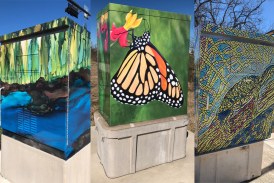 San Marcos Installs Work Of Local Artists To Three Traffic Control ...